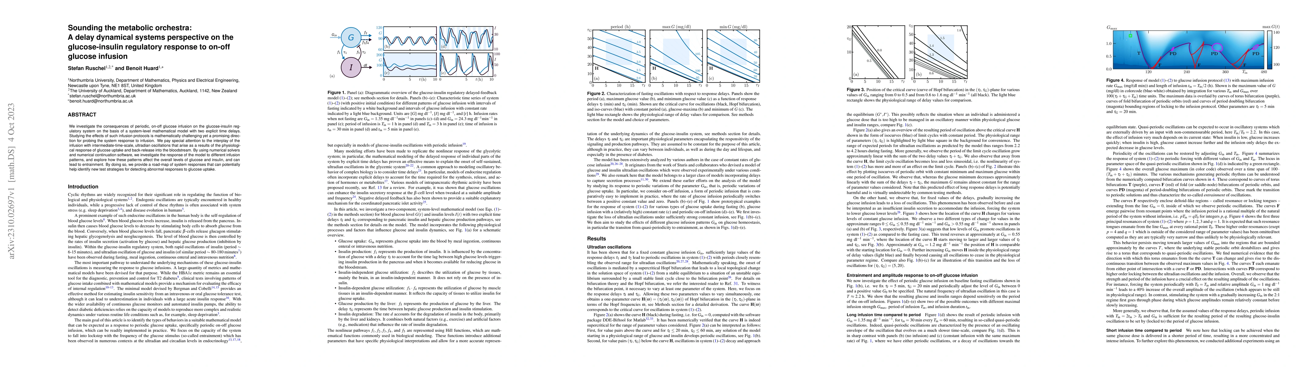 Thumbnail for Sounding the metabolic orchestra: A delay dynamical systems perspective
  on the glucose-insulin regulatory response to on-off glucose infusion