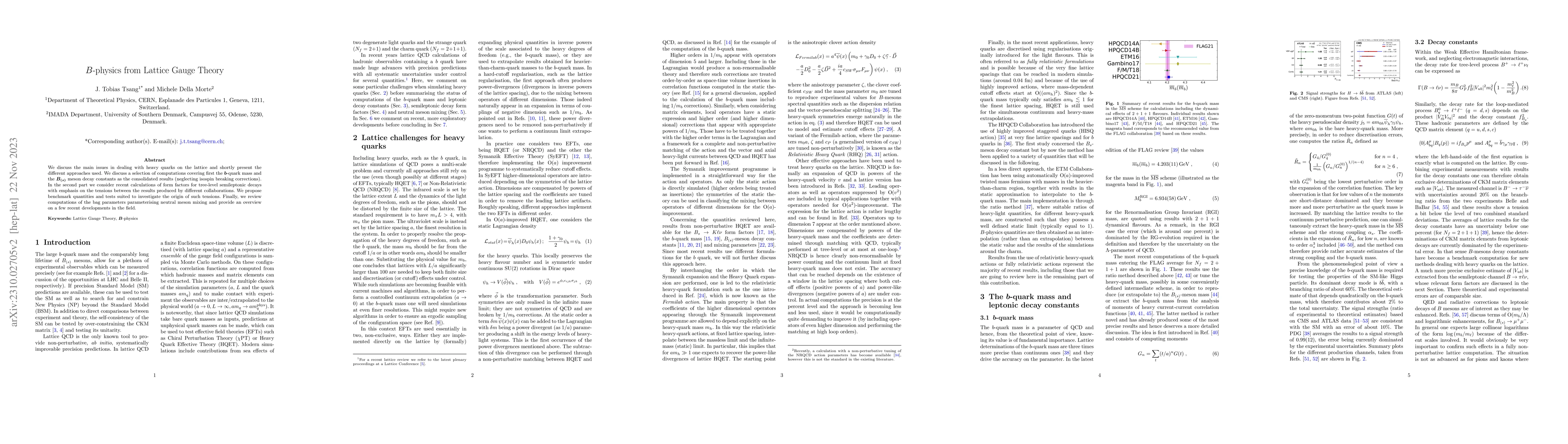 Thumbnail for B-physics from Lattice Gauge Theory