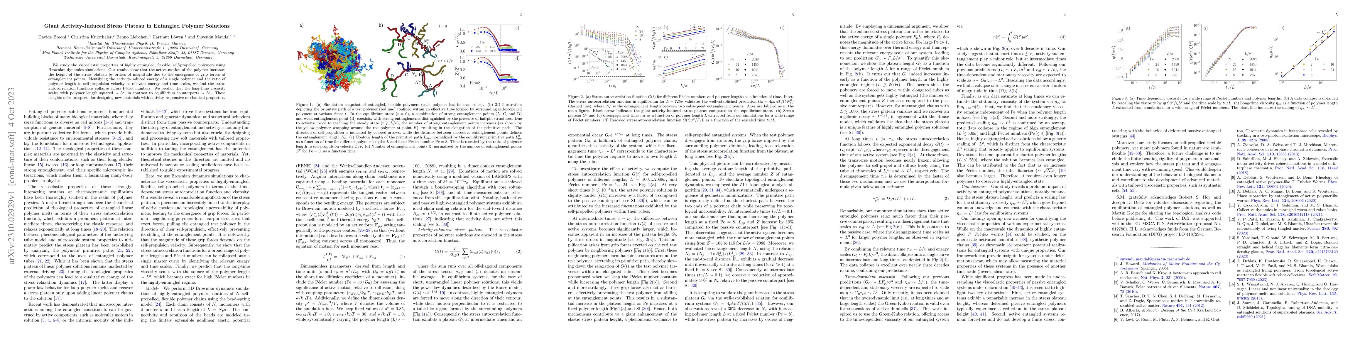 Thumbnail for Giant Activity-Induced Stress Plateau in Entangled Polymer Solutions