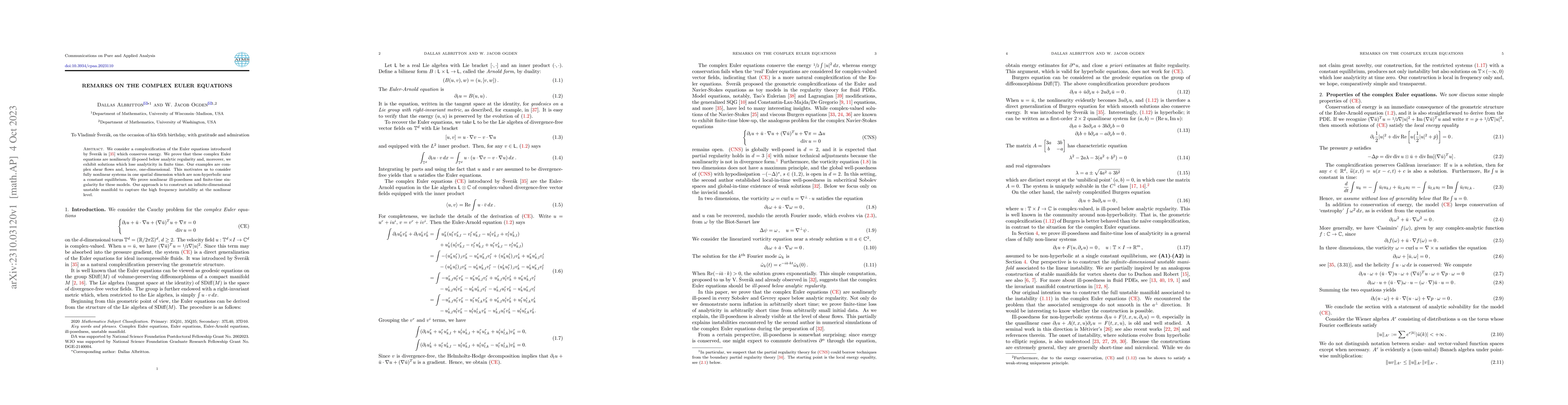 Thumbnail for Remarks on the Complex Euler Equations