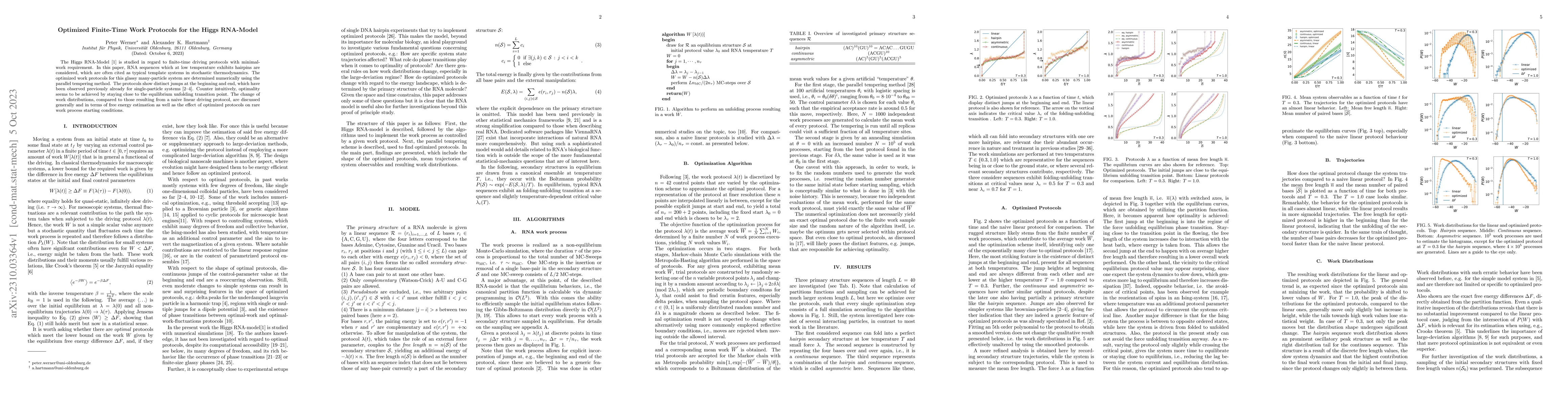 Thumbnail for Optimized Finite-Time Work Protocols for the Higgs RNA-Model
