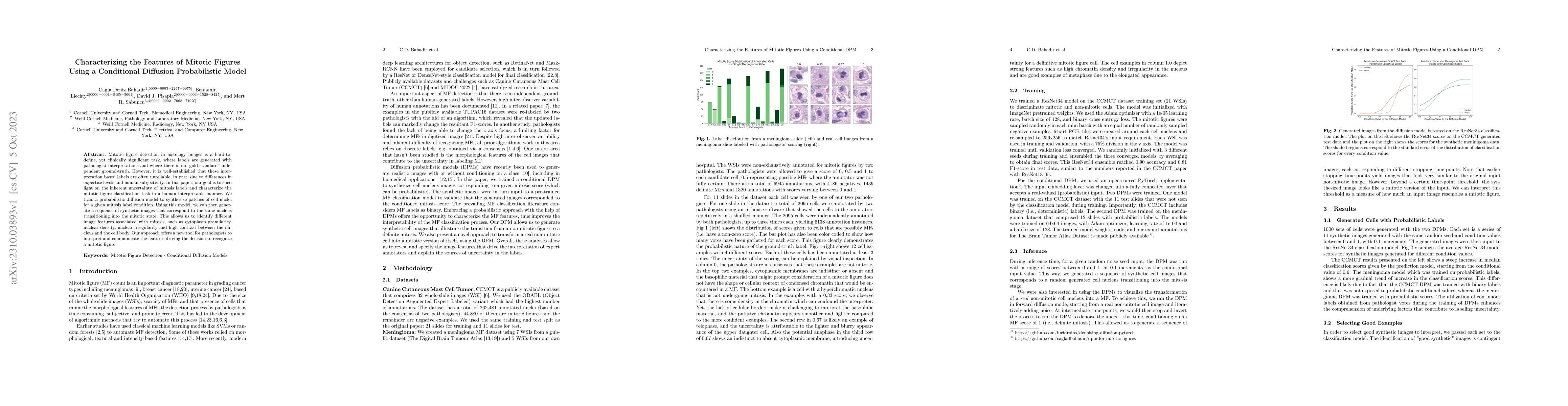 Thumbnail for Characterizing the Features of Mitotic Figures Using a Conditional
  Diffusion Probabilistic Model