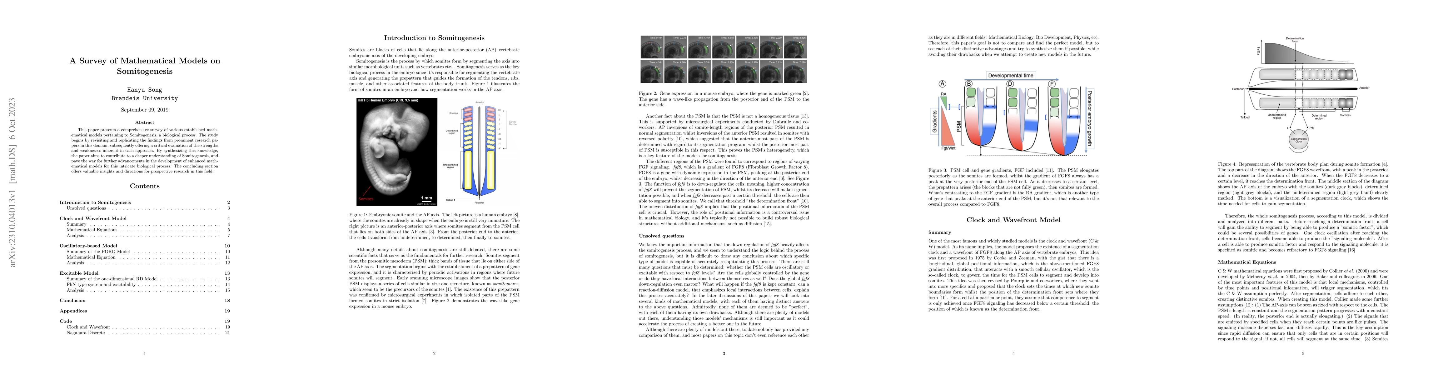 Thumbnail for A Survey of Mathematical Models on Somitogenesis