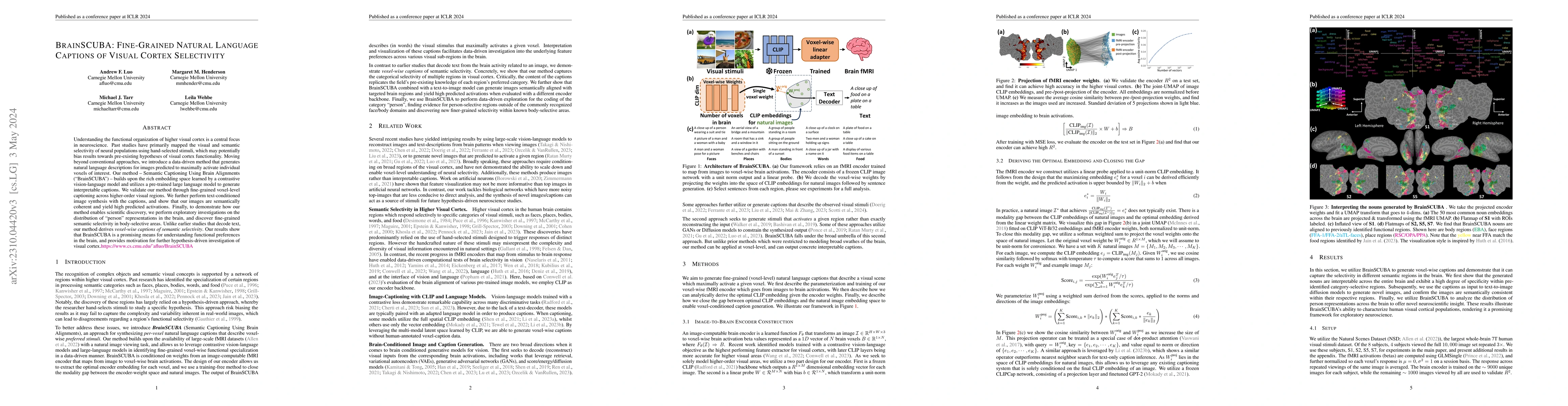 Thumbnail for BrainSCUBA: Fine-Grained Natural Language Captions of Visual Cortex
  Selectivity