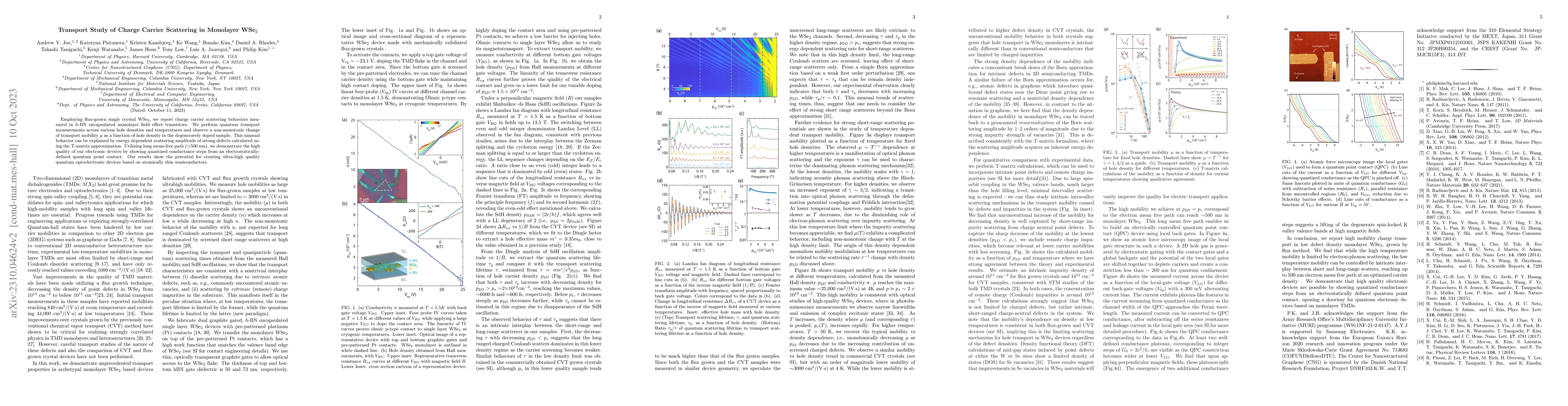 Thumbnail for Transport Study of Charge Carrier Scattering in Monolayer WSe$_2$