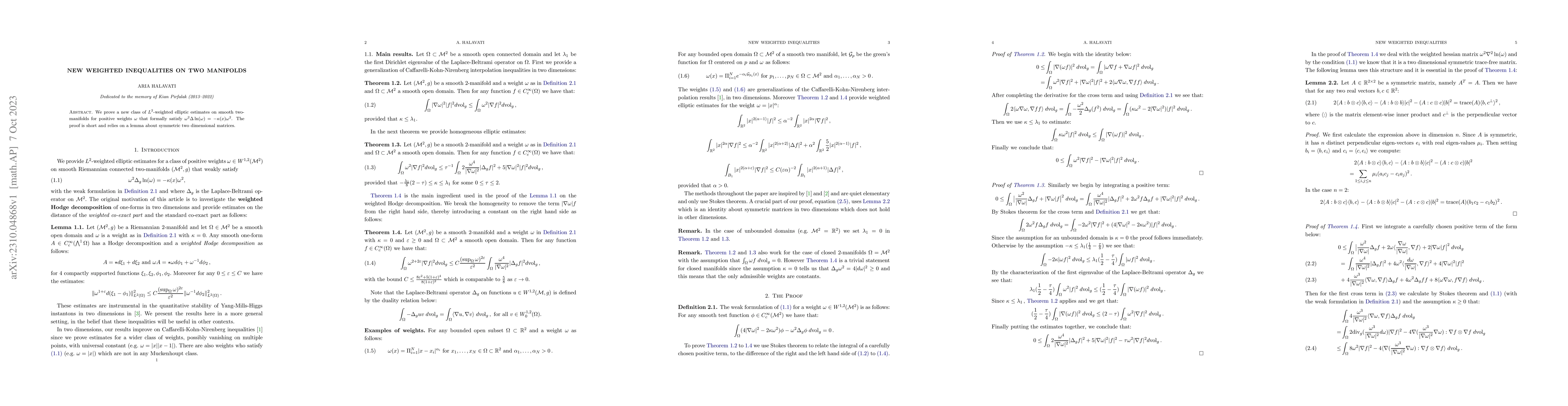 Thumbnail for New weighted inequalities on two manifolds