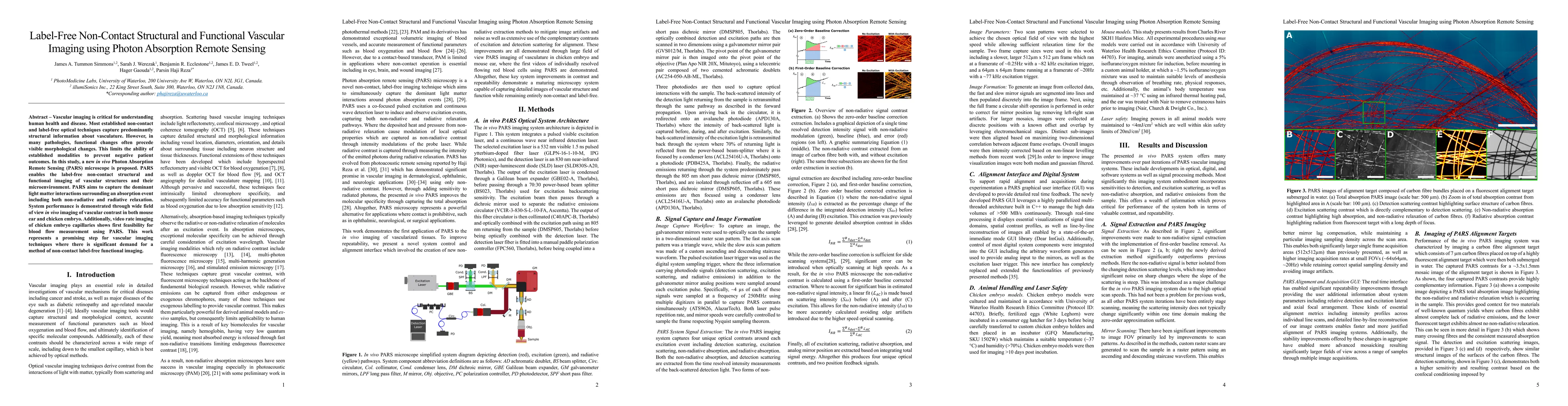 Thumbnail for Label-Free Non-Contact Structural and Functional Vascular Imaging using
  Photon Absorption Remote Sensing