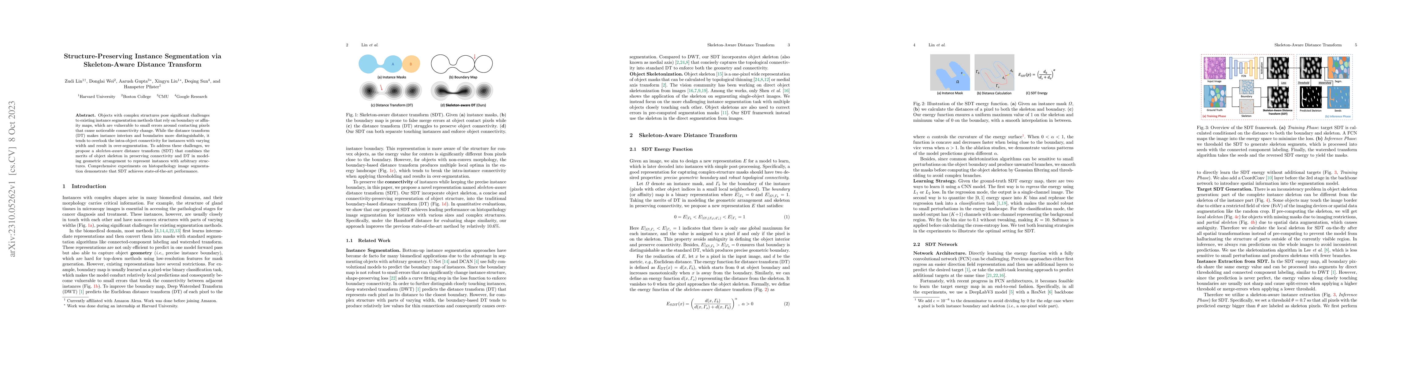 Thumbnail for Structure-Preserving Instance Segmentation via Skeleton-Aware Distance
  Transform