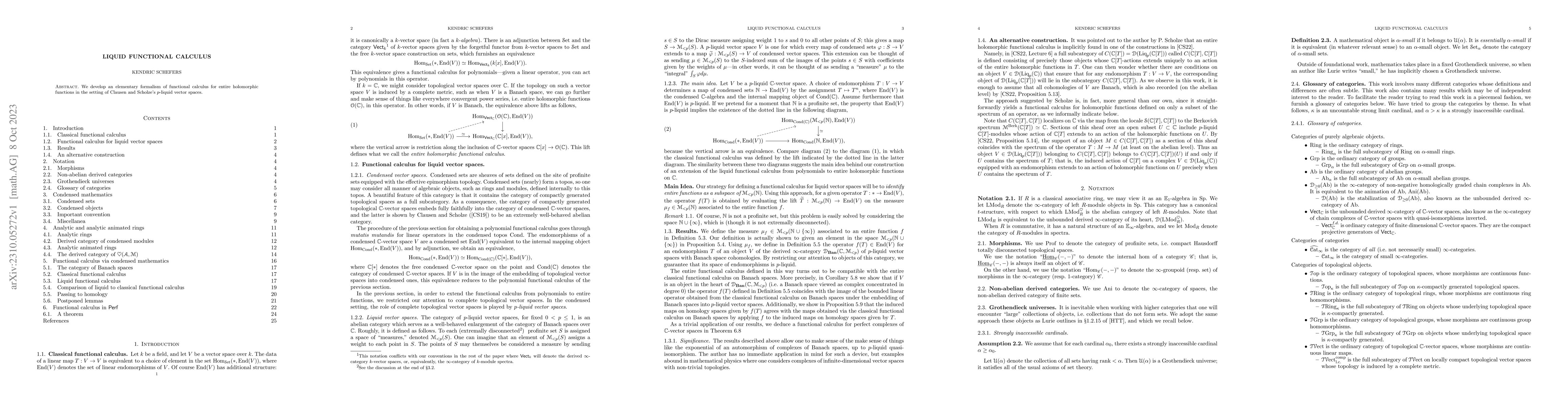 Thumbnail for Liquid functional calculus