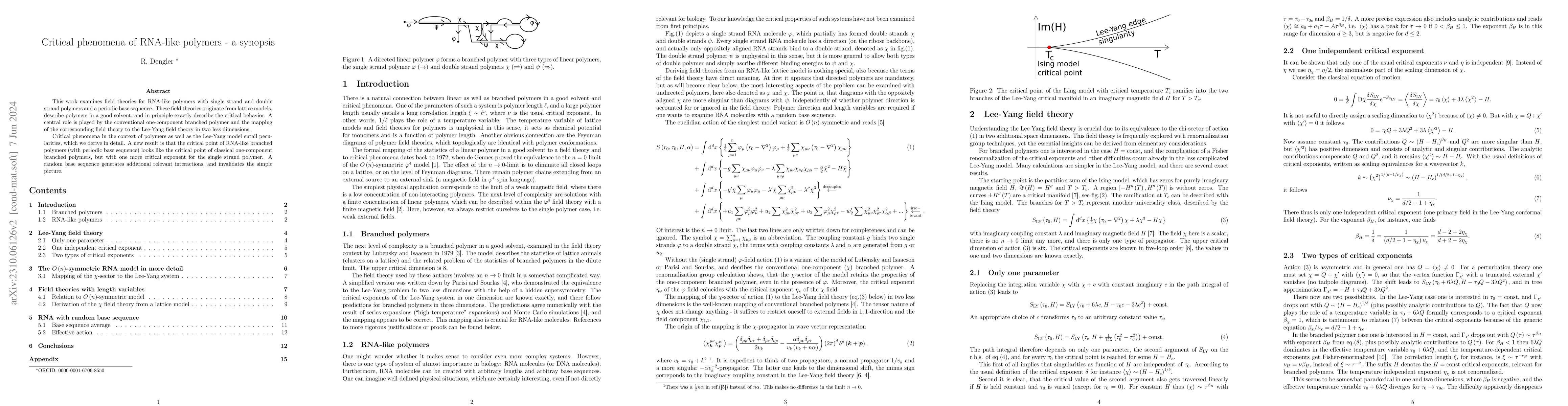 Thumbnail for Critical phenomena of RNA-like polymers -- a synopsis