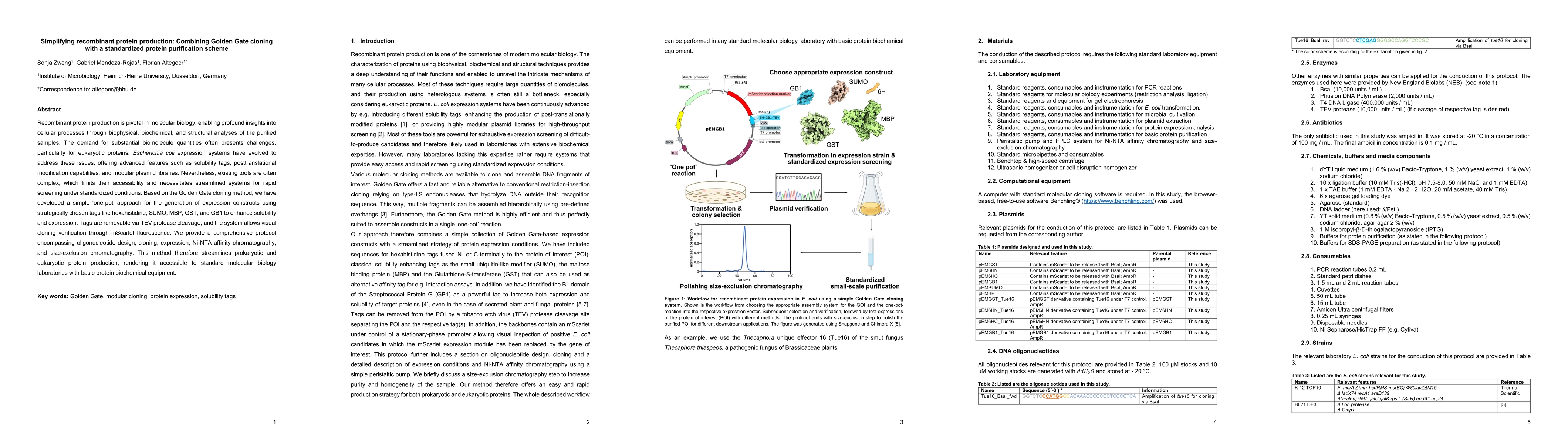Thumbnail for Simplifying recombinant protein production: Combining Golden Gate
  cloning with a standardized protein purification scheme