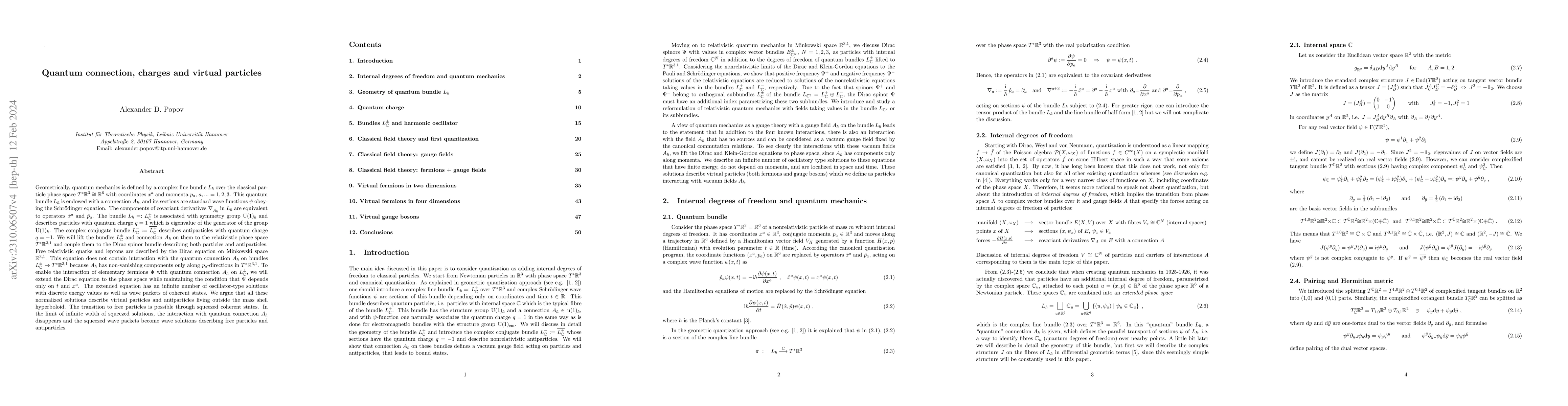 Thumbnail for Quantum connection, charges and virtual particles