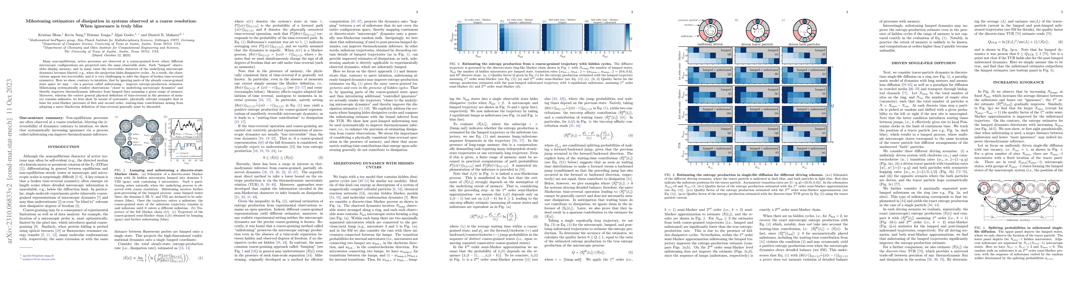 Thumbnail for Milestoning estimators of dissipation in systems observed at a coarse
  resolution: When ignorance is truly bliss