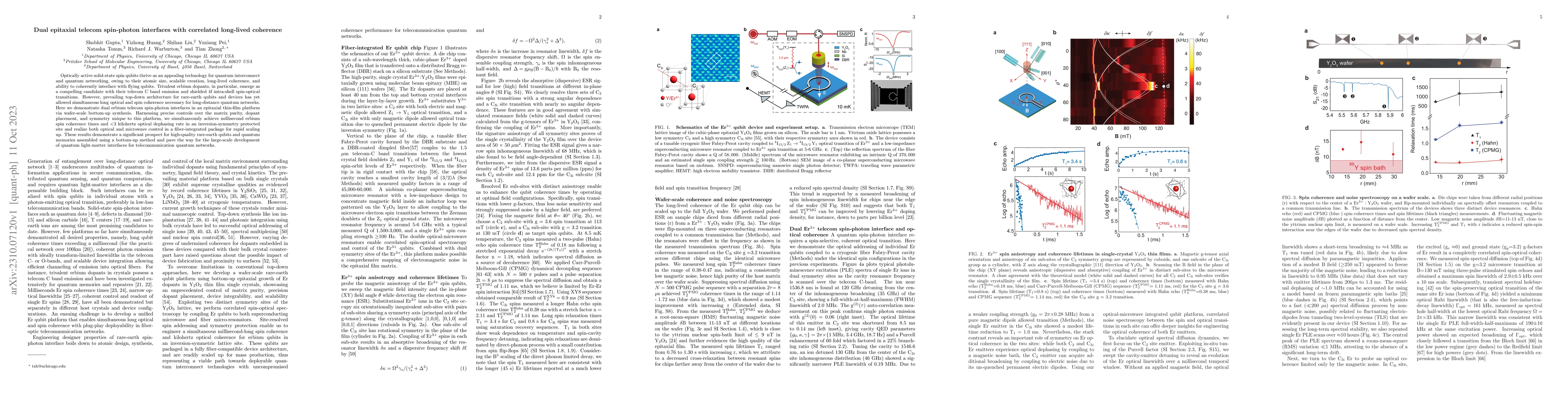 Thumbnail for Dual epitaxial telecom spin-photon interfaces with correlated long-lived
  coherence