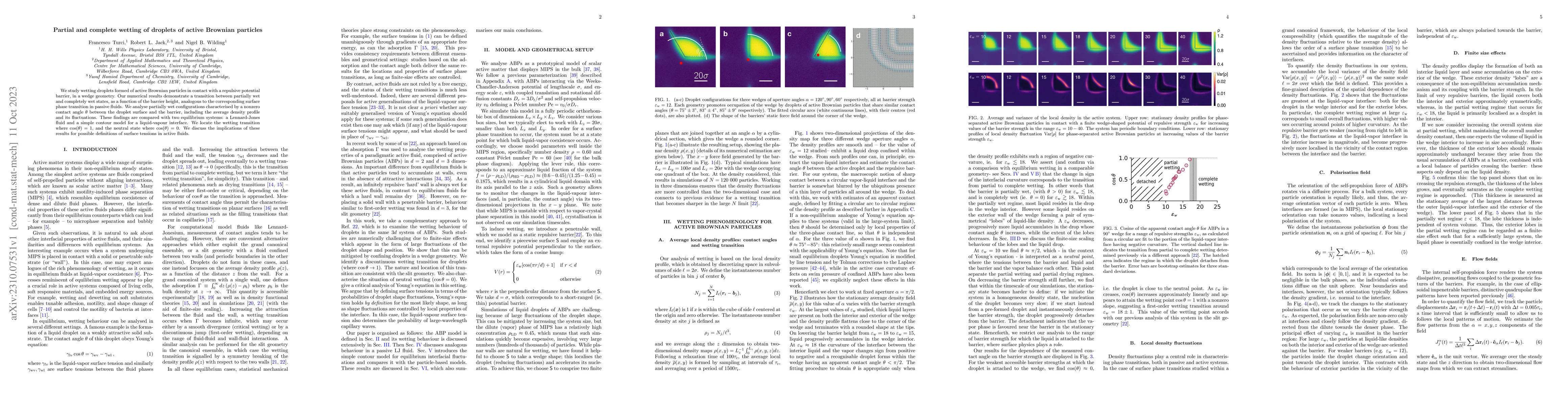 Thumbnail for Partial and complete wetting of droplets of active Brownian particles