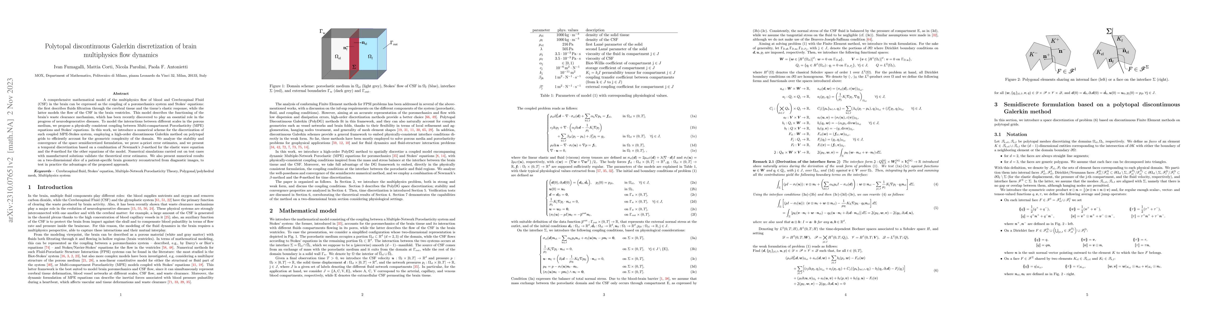 Thumbnail for Polytopal discontinuous Galerkin discretization of brain multiphysics
  flow dynamics