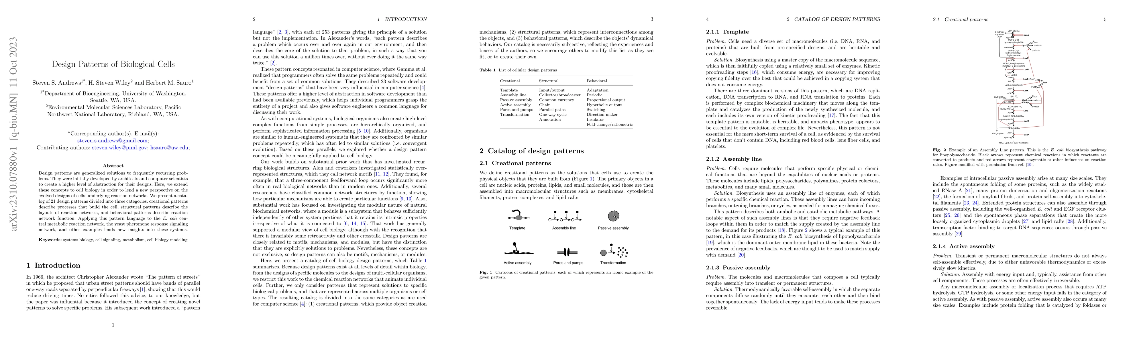 Thumbnail for Design Patterns of Biological Cells