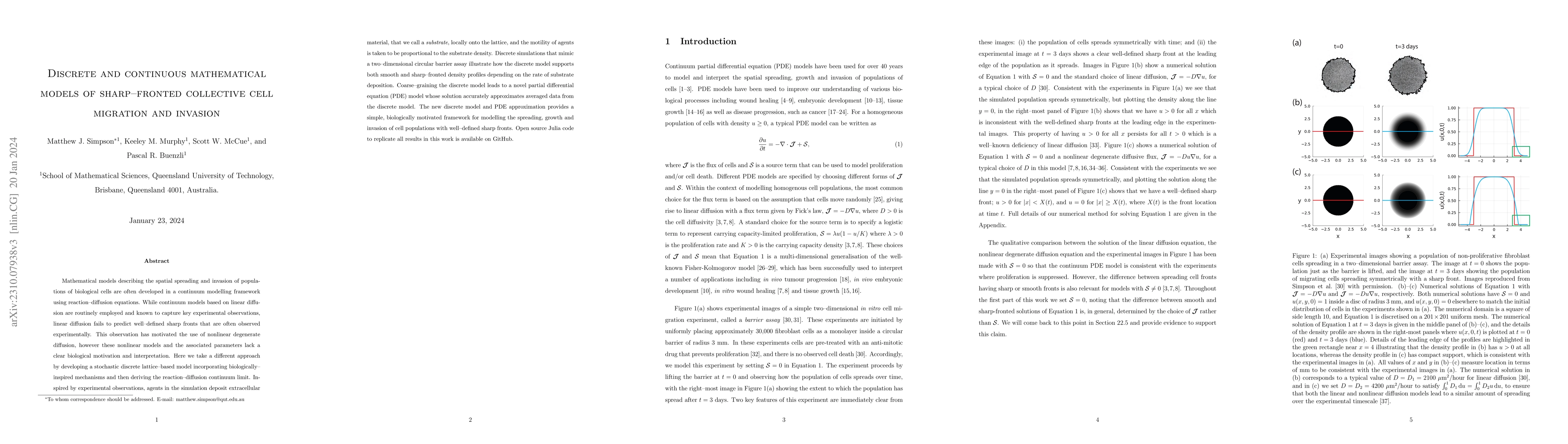 Thumbnail for Discrete and continuous mathematical models of sharp-fronted collective
  cell migration and invasion