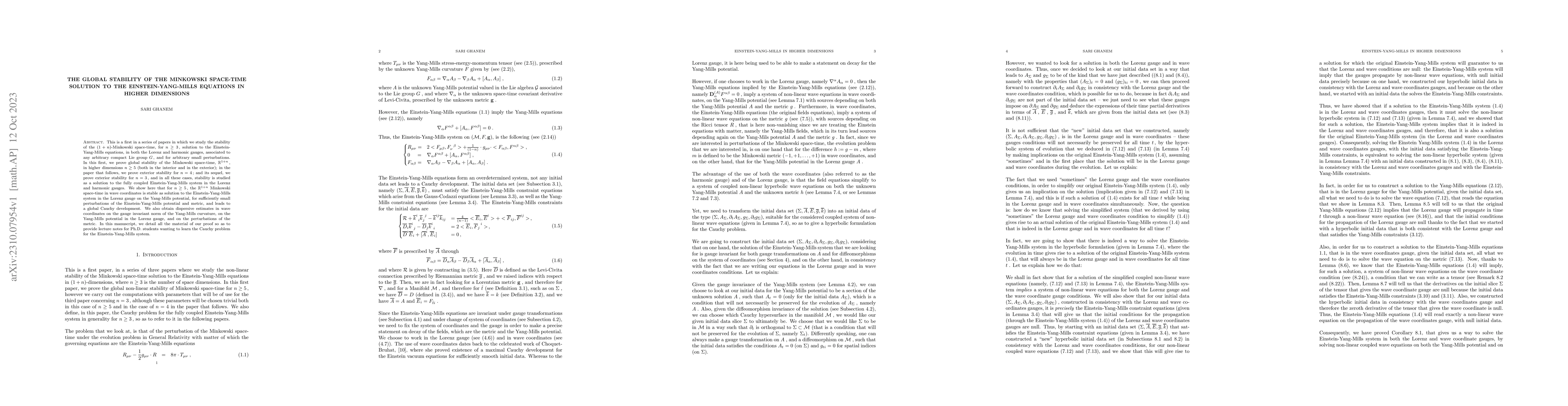 Thumbnail for The global stability of the Minkowski space-time solution to the
  Einstein-Yang-Mills equations in higher dimensions