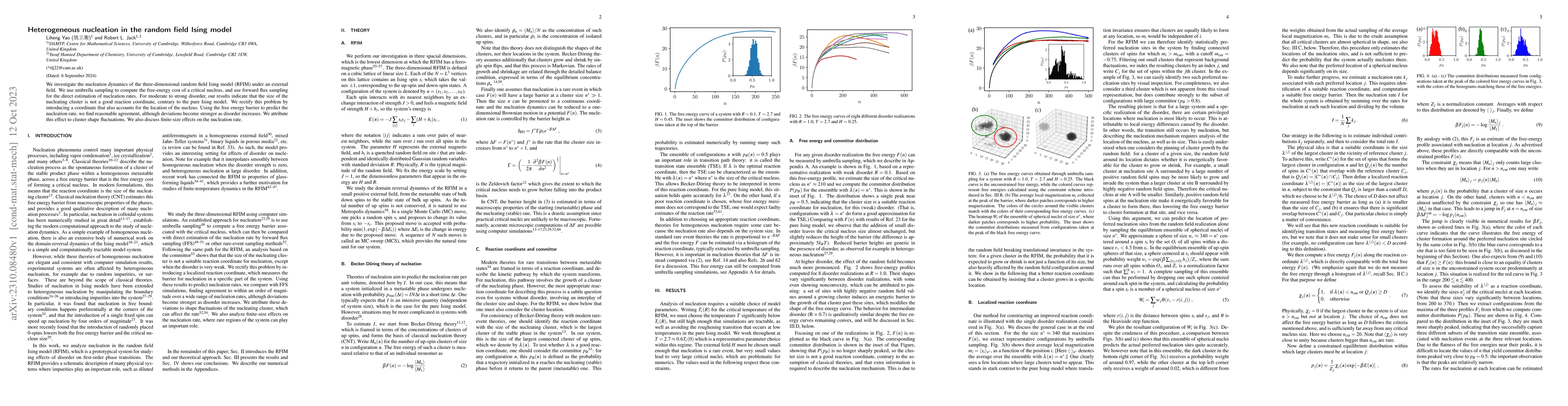 Thumbnail for Heterogeneous nucleation in the random field Ising model