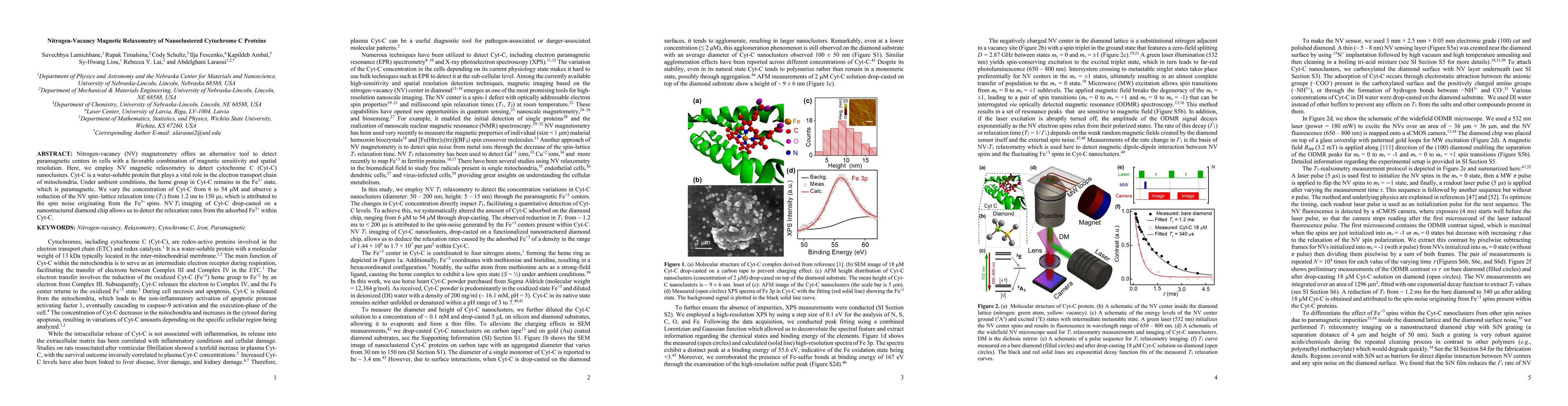 Thumbnail for Detection of Iron in Nanoclustered Cytochrome C Proteins Using
  Nitrogen-Vacancy Magnetic Relaxometry