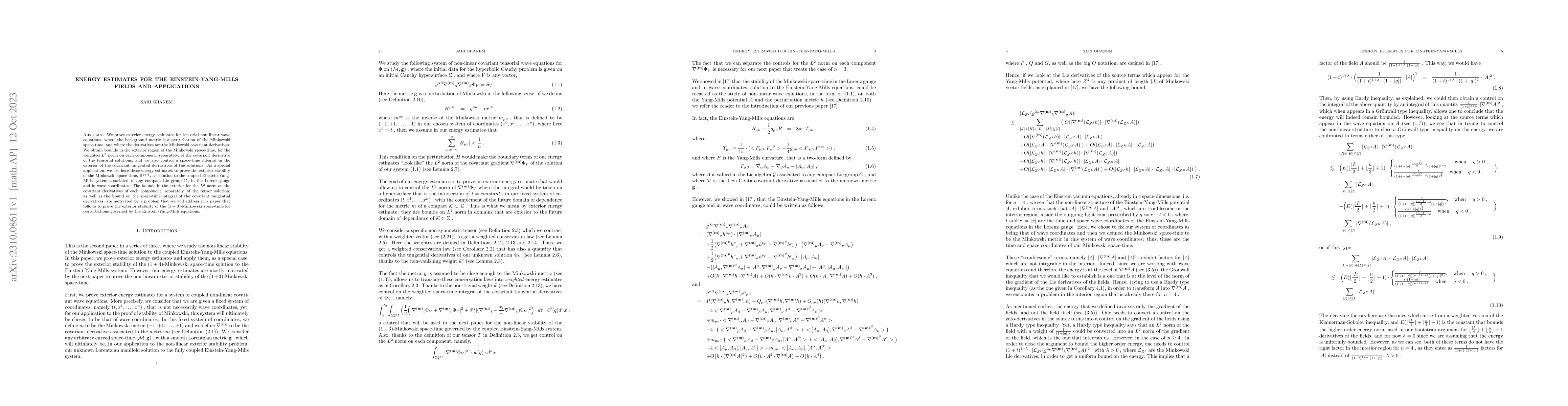 Thumbnail for Energy estimates for the Einstein-Yang-Mills fields and applications