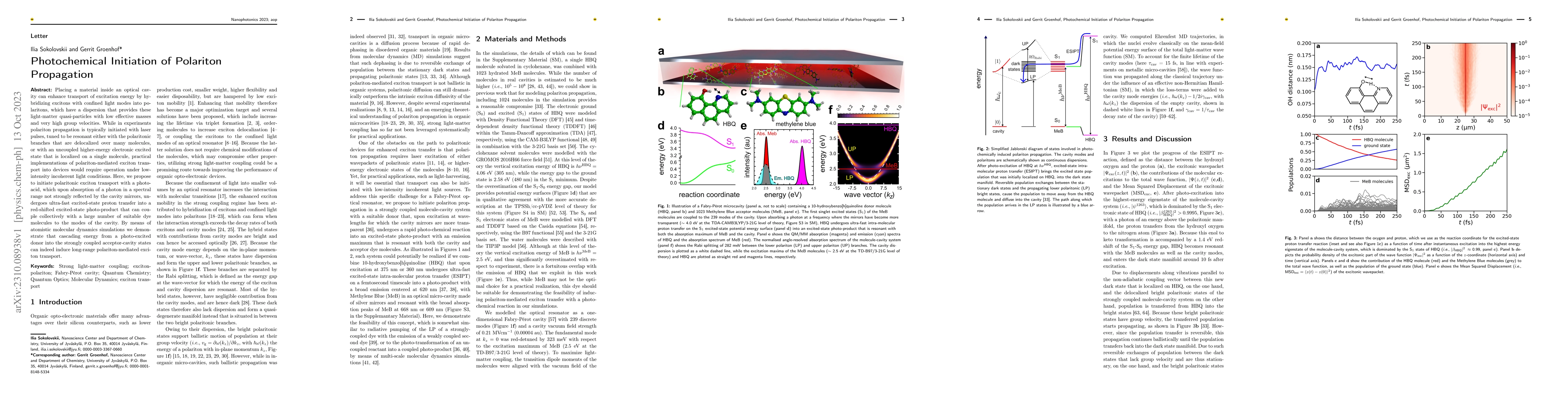 Thumbnail for Photochemical Initiation of Polariton Propagation