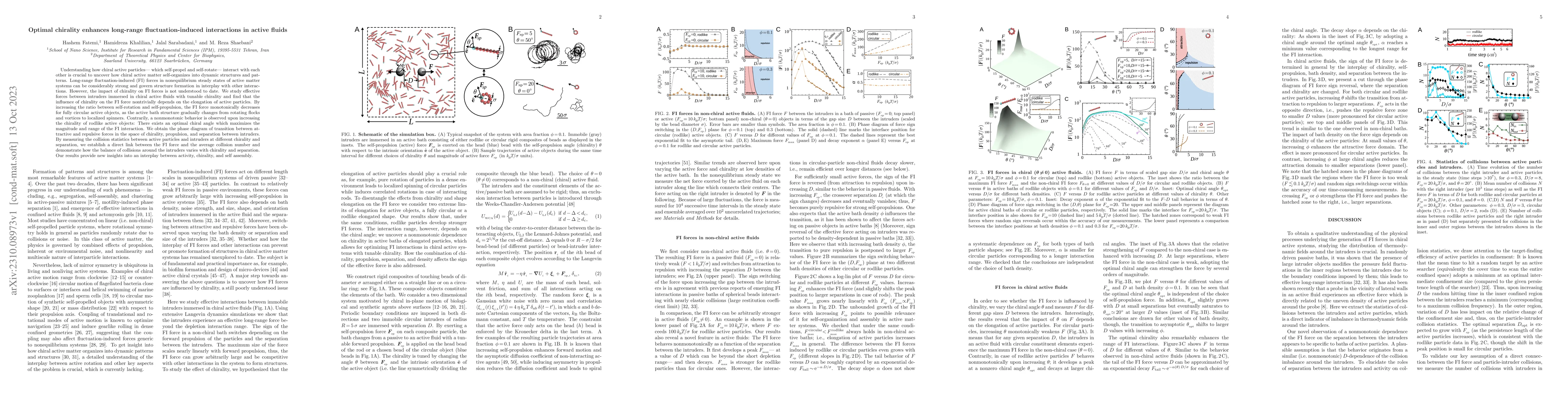 Thumbnail for Optimal chirality enhances long-range fluctuation-induced interactions
  in active fluids
