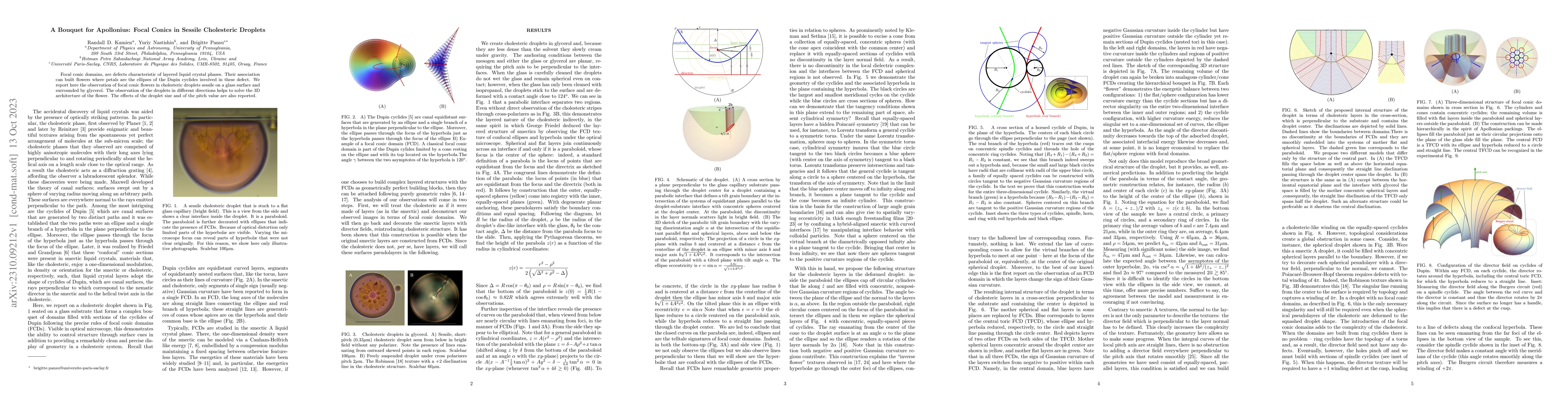 Thumbnail for A Bouquet for Apollonius: Focal Conics in Sessile Cholesteric Droplets
