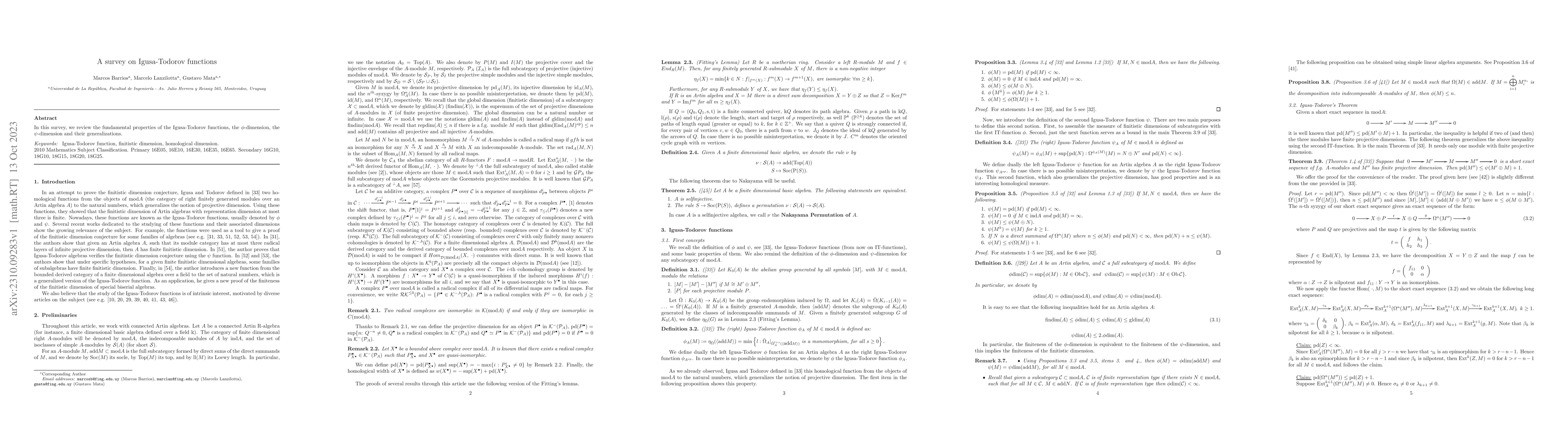 Thumbnail for A survey on Igusa-Todorov functions
