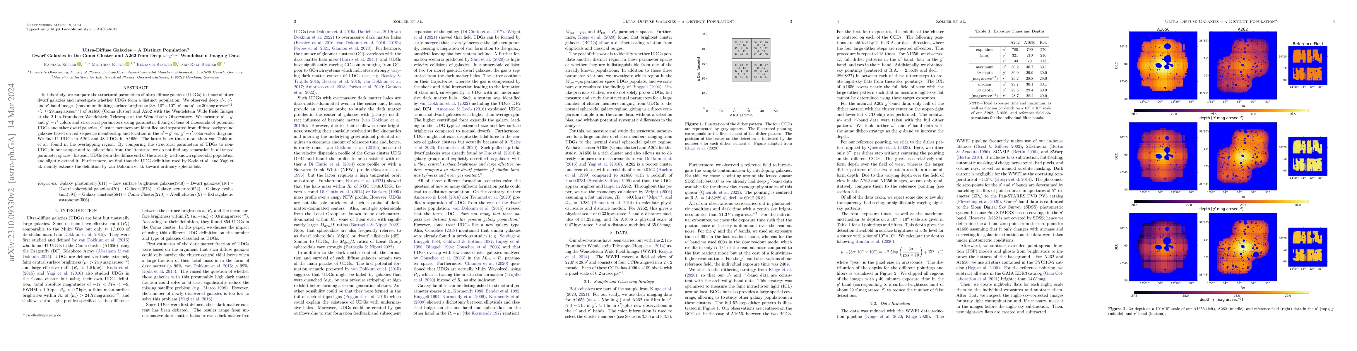 Thumbnail for Ultra-Diffuse Galaxies $-$ A Distinct Population? Dwarf Galaxies in the
  Coma Cluster and A262 from Deep $u'-g'-r'$ Wendelstein Imaging Data