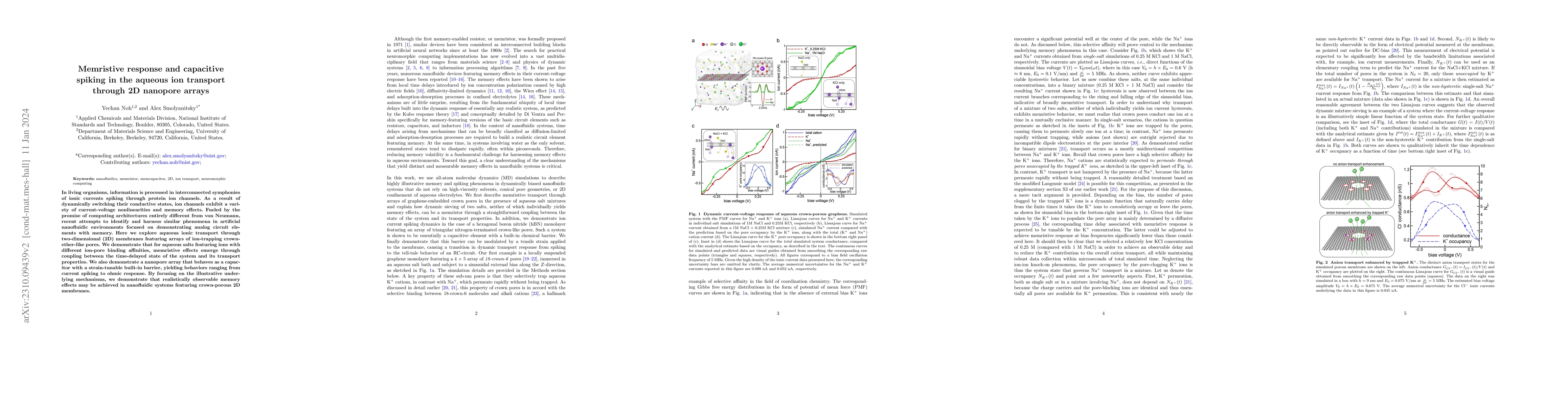 Thumbnail for Memristive response and capacitive spiking in the aqueous ion transport
  through 2D nanopore arrays