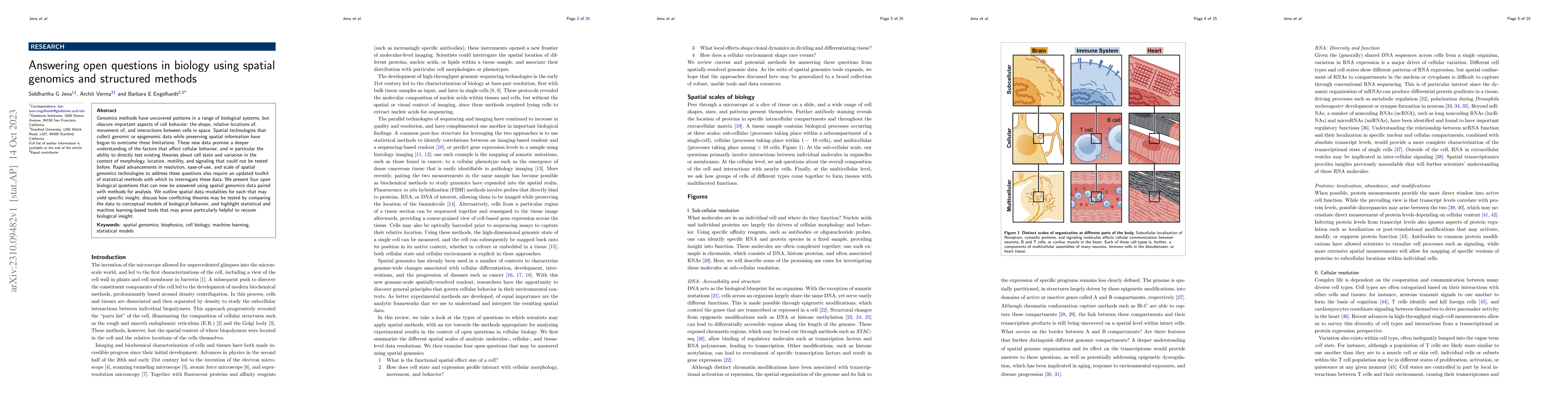 Thumbnail for Answering open questions in biology using spatial genomics and
  structured methods
