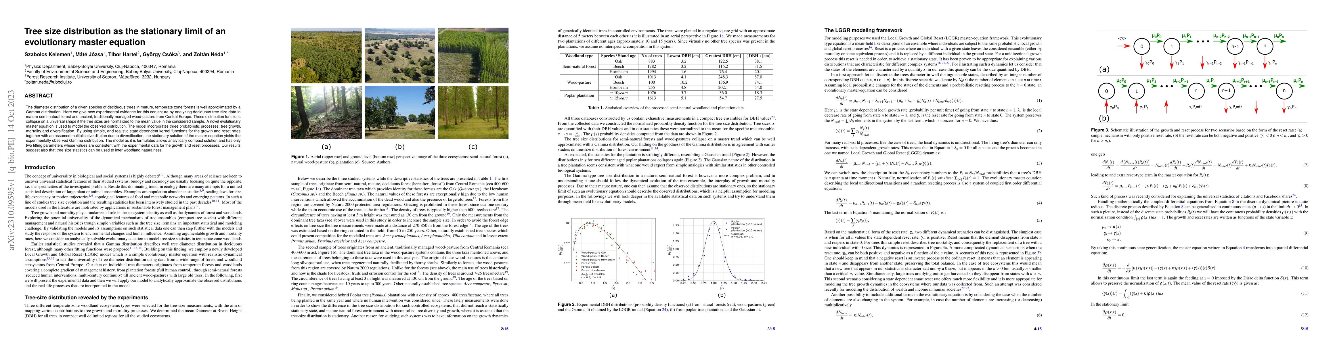 Thumbnail for Tree size distribution as the stationary limit of an evolutionary master
  equation