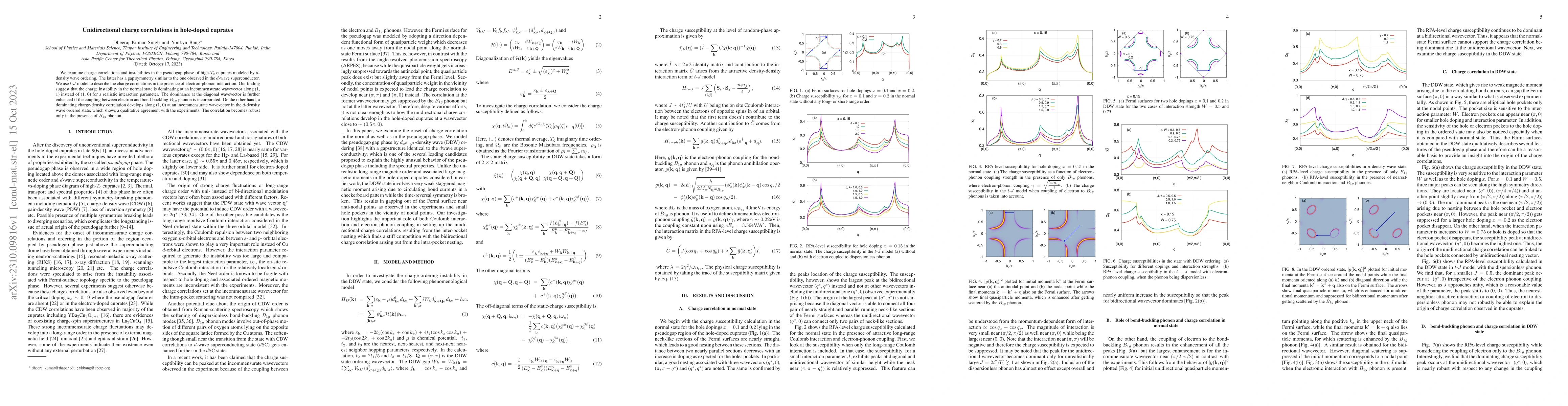 Thumbnail for Unidirectional charge correlations in hole-doped cuprates