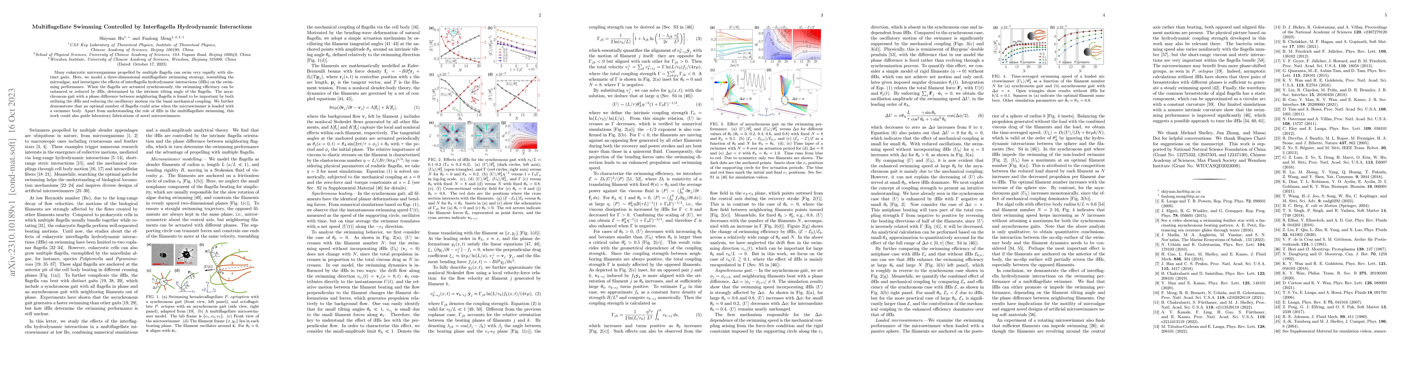 Thumbnail for Multiflagellate Swimming Controlled by Interflagella Hydrodynamic
  Interactions