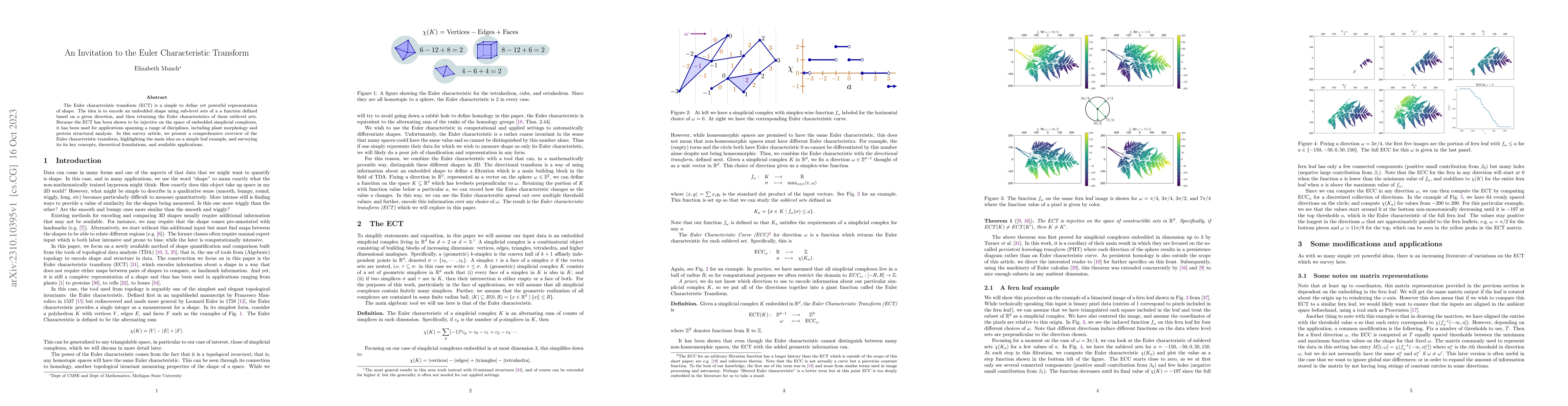 Thumbnail for An Invitation to the Euler Characteristic Transform