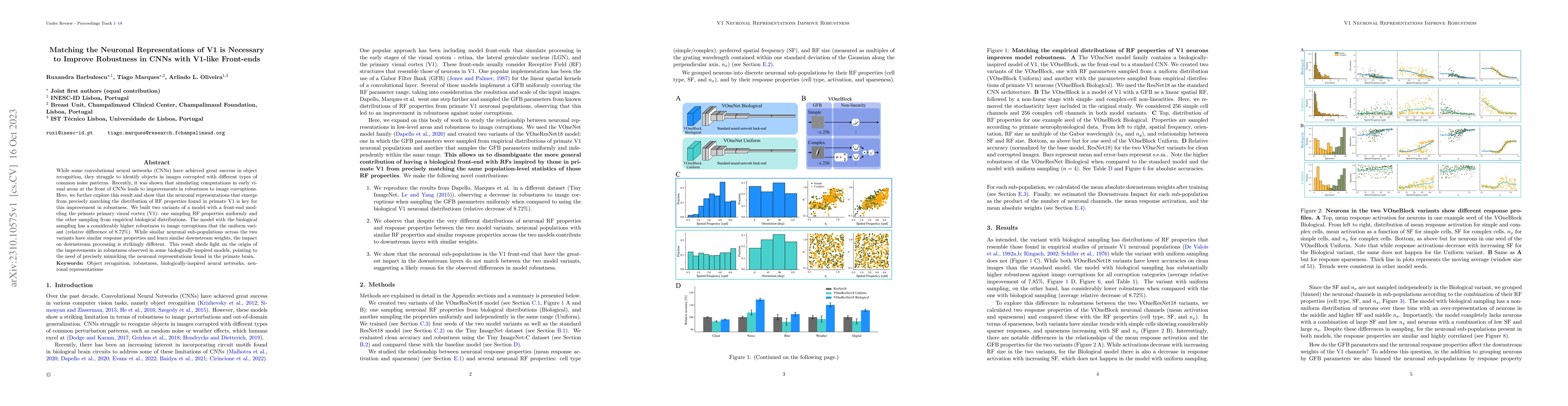 Thumbnail for Matching the Neuronal Representations of V1 is Necessary to Improve
  Robustness in CNNs with V1-like Front-ends