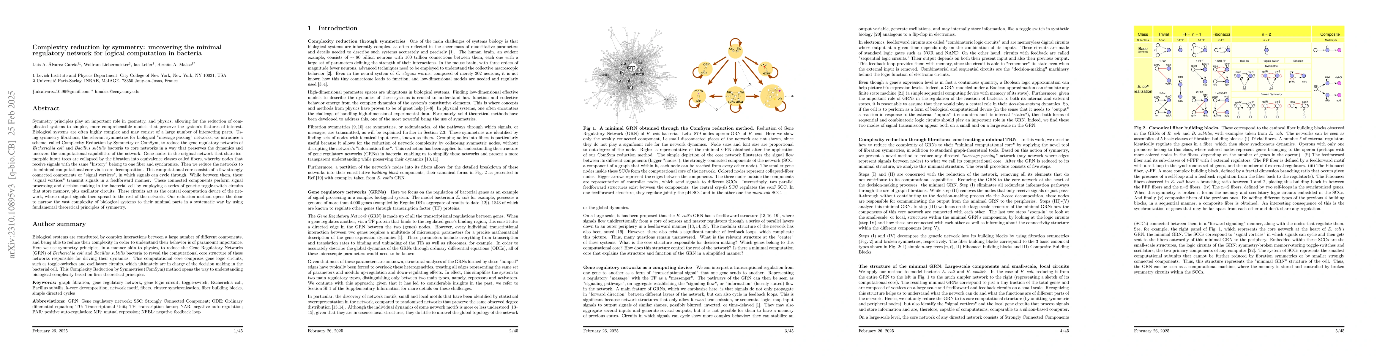Thumbnail for Fibration symmetry uncovers minimal regulatory networks for logical
  computation in bacteria