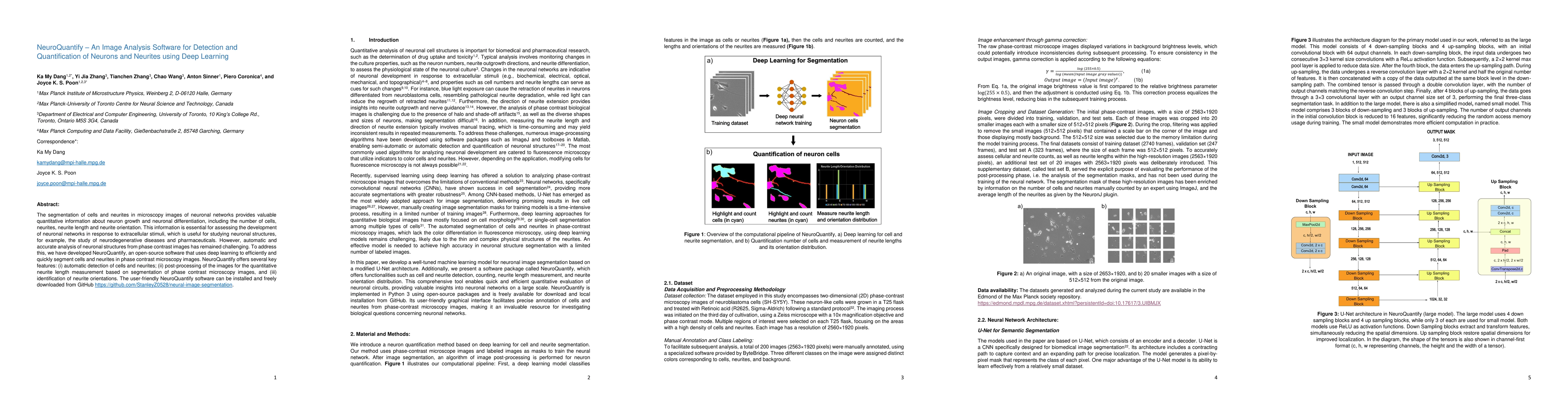 Thumbnail for NeuroQuantify -- An Image Analysis Software for Detection and
  Quantification of Neurons and Neurites using Deep Learning