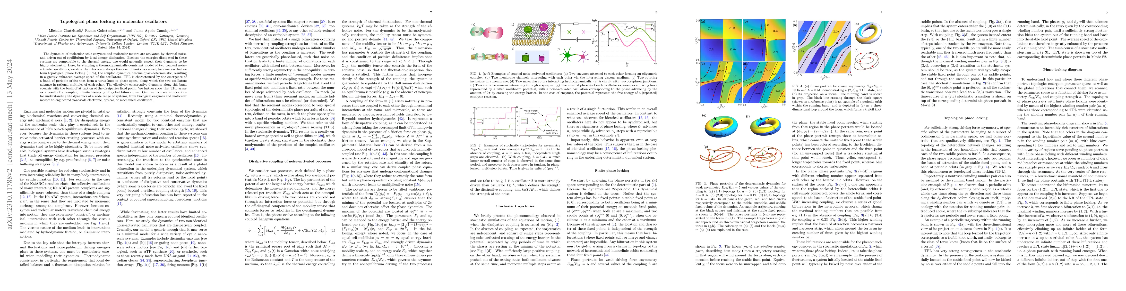 Thumbnail for Topological phase locking in molecular oscillators