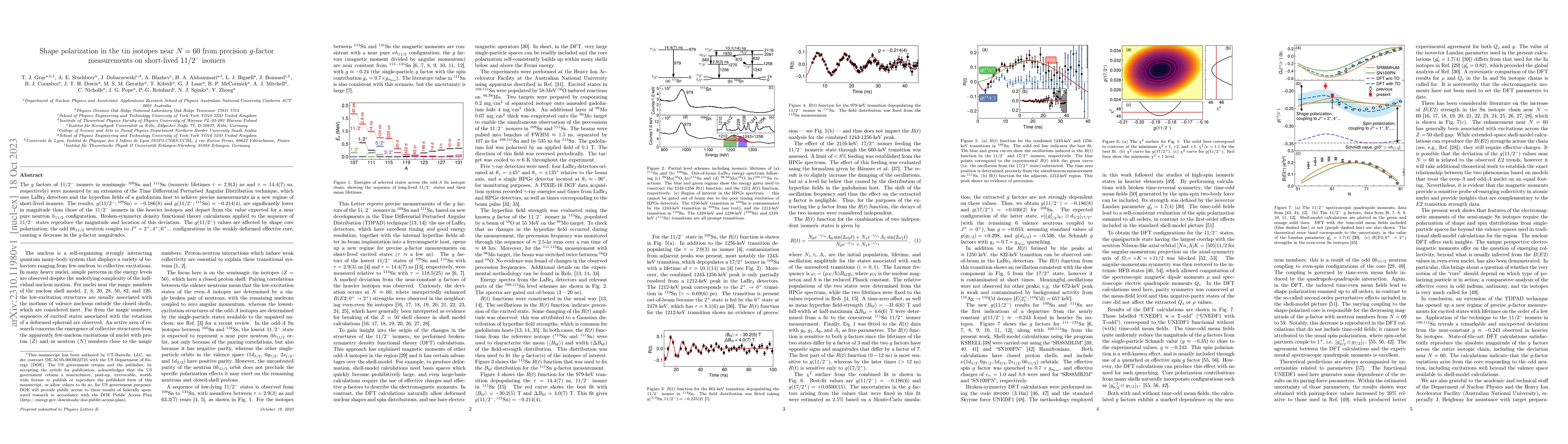 Thumbnail for Shape polarization in the tin isotopes near $N=60$ from precision
  $g$-factor measurements on short-lived $11/2^-$ isomers