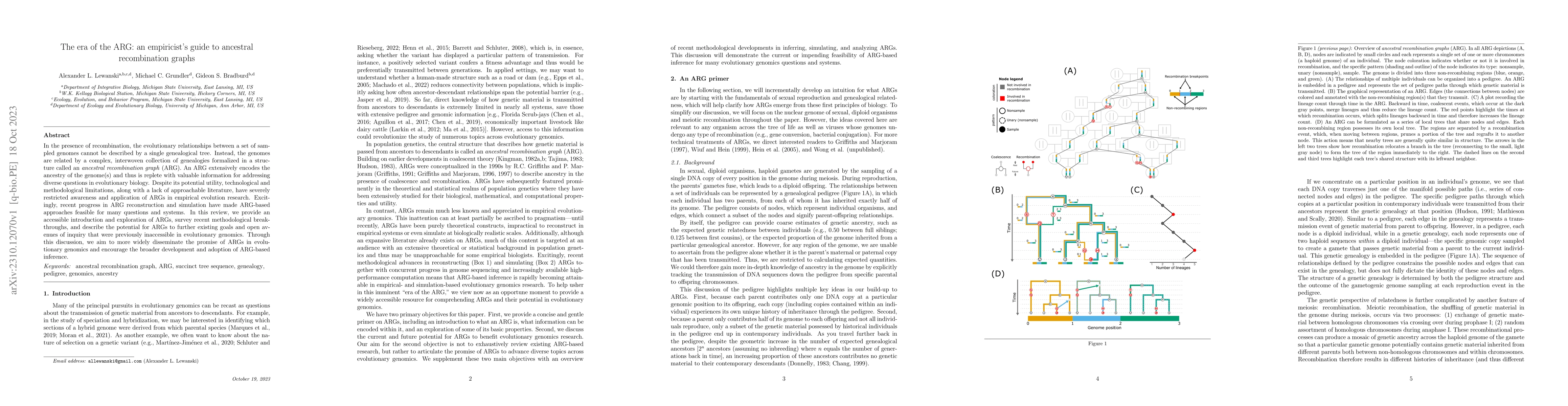 Thumbnail for The era of the ARG: an empiricist's guide to ancestral recombination
  graphs