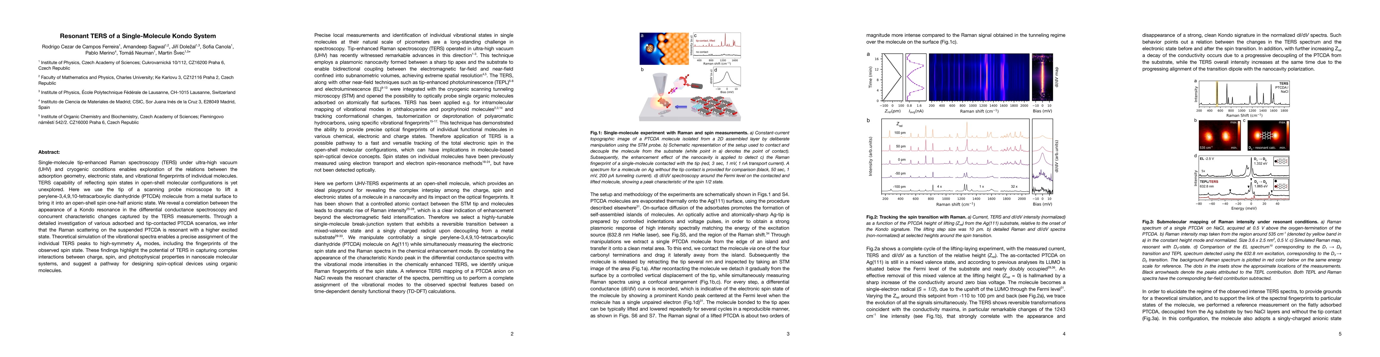 Thumbnail for Resonant TERS of a Single-Molecule Kondo System