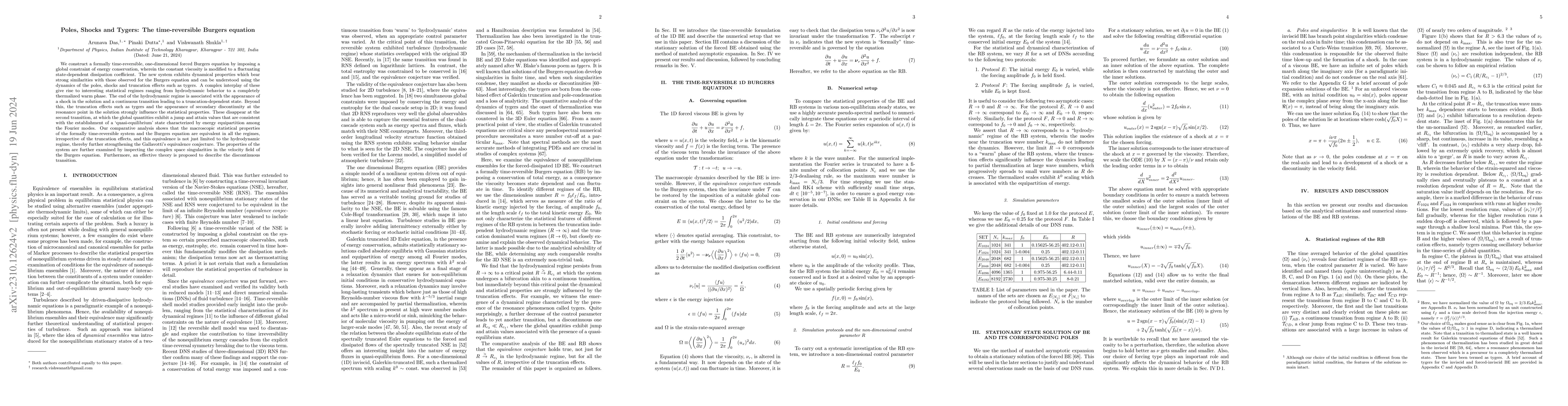 Thumbnail for Poles, Shocks and Tygers: The Time-reversible Burgers equation