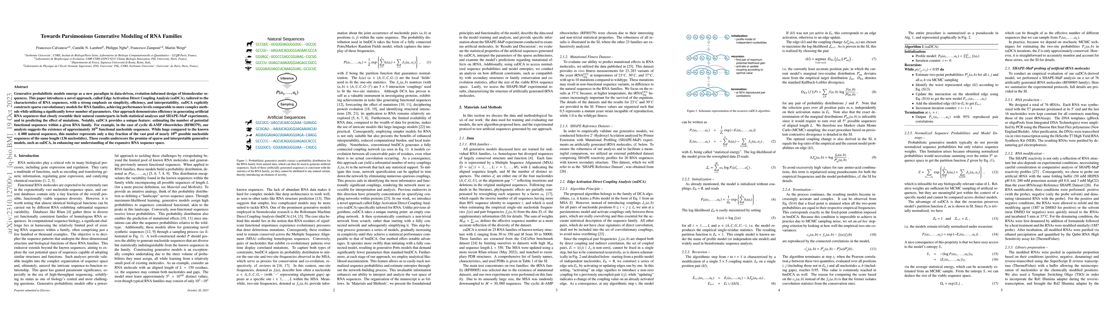 Thumbnail for Towards Parsimonious Generative Modeling of RNA Families