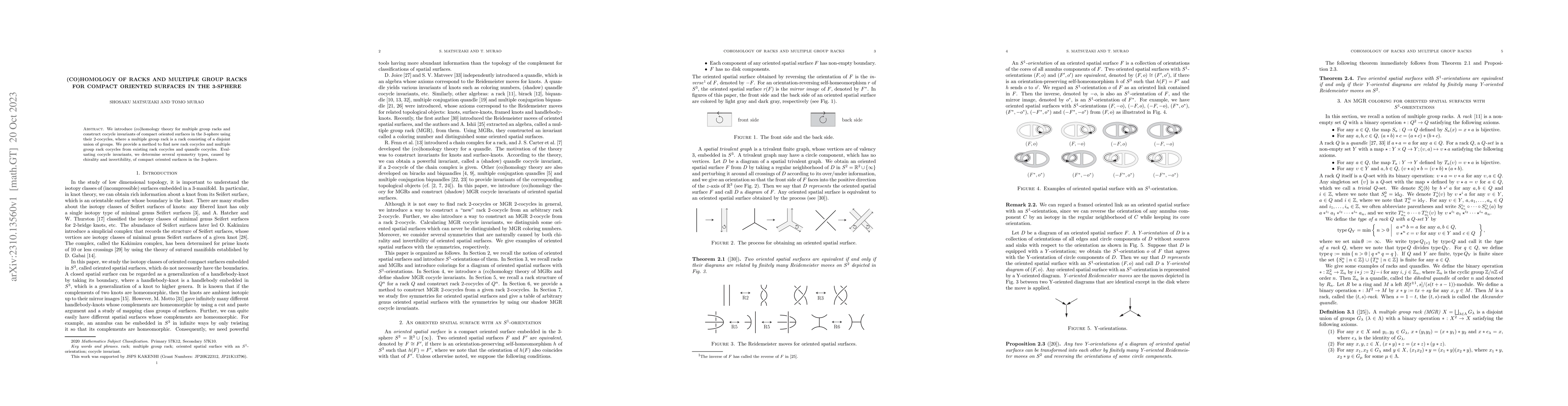 Thumbnail for (Co)homology of racks and multiple group racks for compact oriented
  surfaces in the 3-sphere