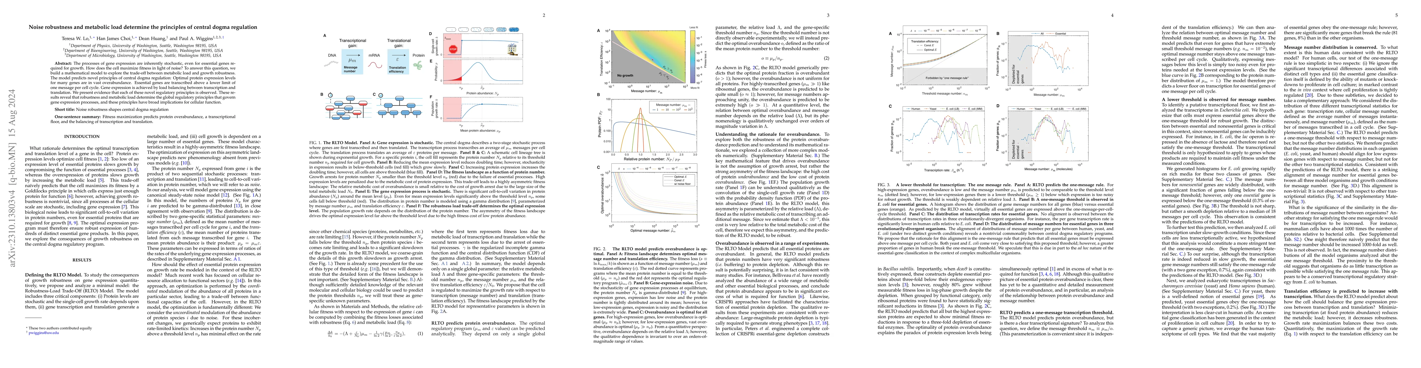 Thumbnail for Noise robustness and metabolic load determine the principles of central
  dogma regulation