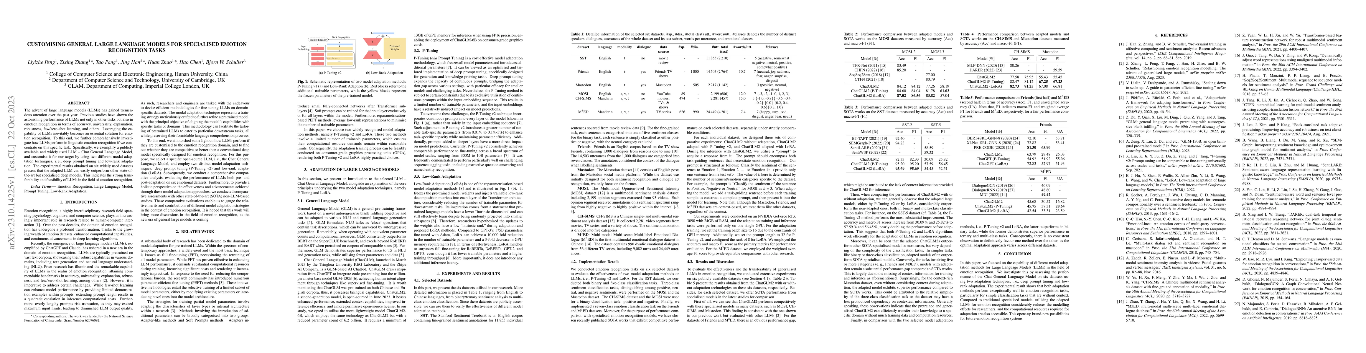 Thumbnail for Customising General Large Language Models for Specialised Emotion
  Recognition Tasks