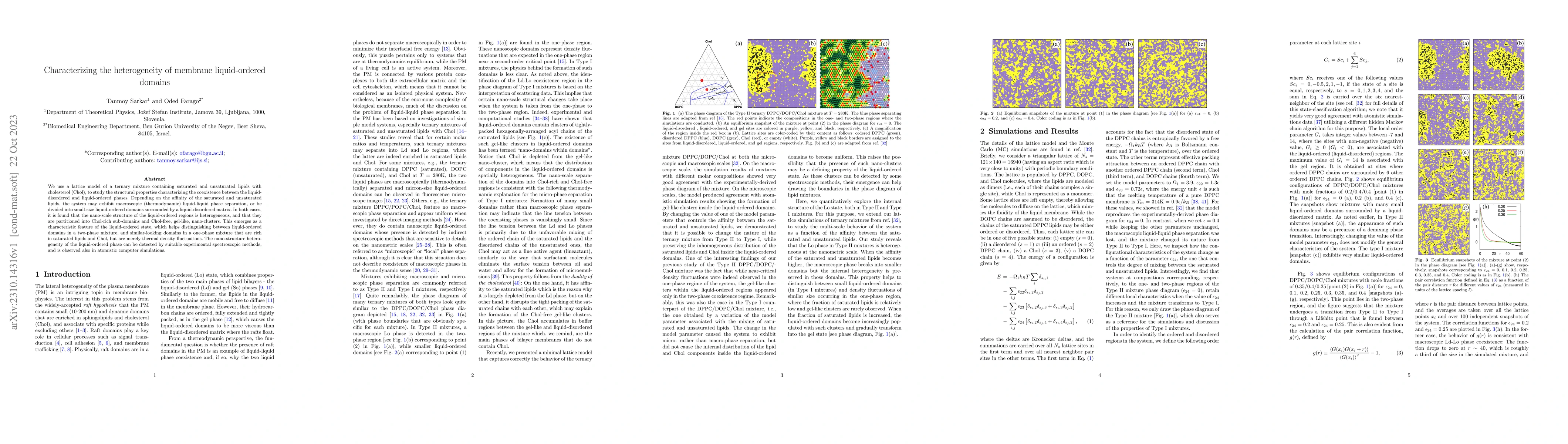 Thumbnail for Characterizing the heterogeneity of membrane liquid-ordered domains